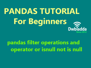 pandas filter operations and operator or isnull not is null